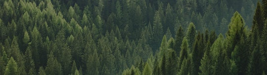Política ambiental
