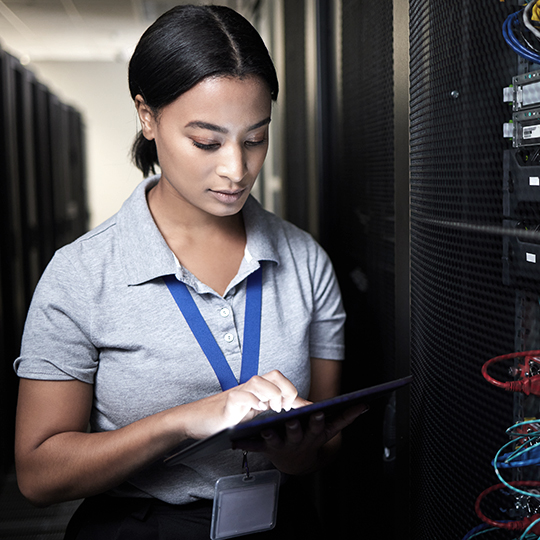 Recuperación del bosque de Active Recovery