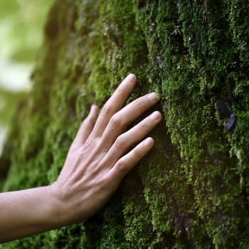 Por qué son importantes las prácticas sostenibles nature