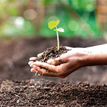 Por qué son importantes las prácticas empresariales sostenibles