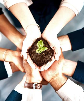 ECOSYS: La solución sostenible. Manos sujetando una planta en tierra