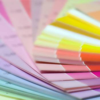 Alta calidad de imagen Alta calidad de imagen